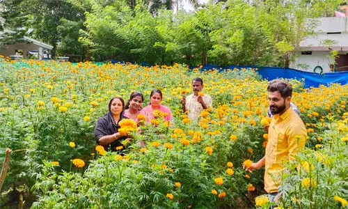 Chendumalli Vasantha in Vypin