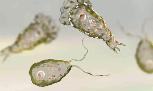 Child dies of brain-eating amoeba in Nebraska