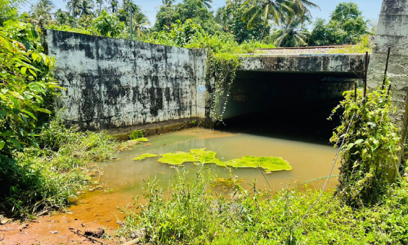 അടിപ്പാത നിർമിച്ചിട്ട് എട്ടു വർഷം, വടക്കുമ്പാട്ടുകാർ മറുകരയെത്തുന്നത് മതിൽ ചാടിക്കടന്ന് അടിപ്പാത നിർമിച്ചിട്ട് എട്ടു വർഷം, വടക്കുമ്പാട്ടുകാർ മറുകരയെത്തുന്നത് മതിൽ ചാടിക്കടന്ന്