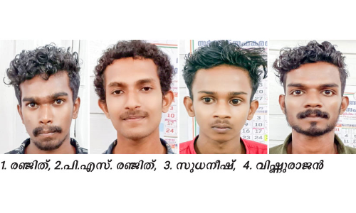 ജാമ്യത്തിലിറങ്ങി കുറ്റകൃത്യം: രണ്ട് പ്രതികൾ അറസ്റ്റിൽ