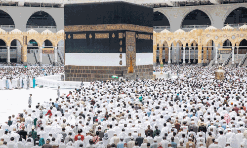 Hajj: Domestic registration to begin next week