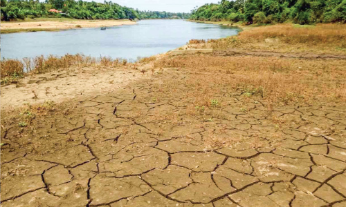 മ​ഴ കു​റ​ഞ്ഞു; ചാ​ല​ക്കു​ടി​പ്പു​ഴ​യോ​രത്ത് ജലക്ഷാമം