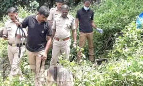 ക്ഷേത്രത്തിലെ പഞ്ചലോഹ വിഗ്രഹം കവർന്ന് കുറ്റിക്കാട്ടില്‍ ഉപേക്ഷിച്ച നിലയിൽ