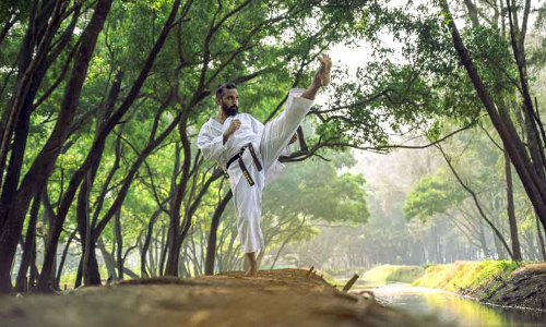 കരാട്ടെയിൽ ഷാനിന്‍റെ തല്ലുമാല