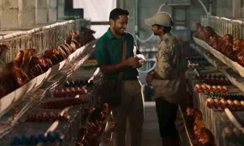 Basil Joseph Movie  Palthu Janwars Song  Ambili Ravum  Video Went Viral