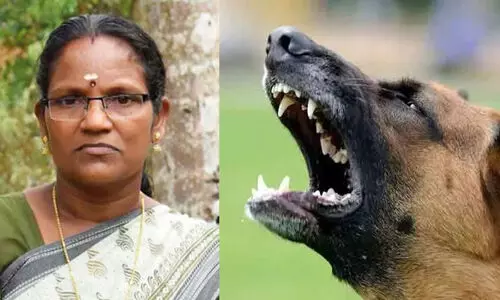 നായയുടെ കടിയേറ്റ വീട്ടമ്മ മരിച്ചു; പേ വിഷത്തിനുള്ള വാക്സിനെടുത്തിട്ടും മരണം