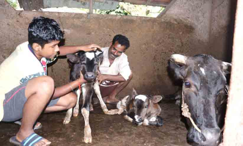 ഒറ്റ പ്രസവത്തിൽ രണ്ടുപെൺകുട്ടികളുമായി മണിക്കുട്ടി