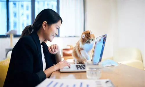 ഓൺലൈൻ ക്ലാസിനിടെ പൂച്ച പ്രത്യക്ഷപ്പെട്ടു; ജോലി പോയ അധ്യാപികക്ക് നാല് ലക്ഷം രൂപ നഷ്ടപരിഹാരം നൽകാൻ ഉത്തരവിട്ട് കോടതി