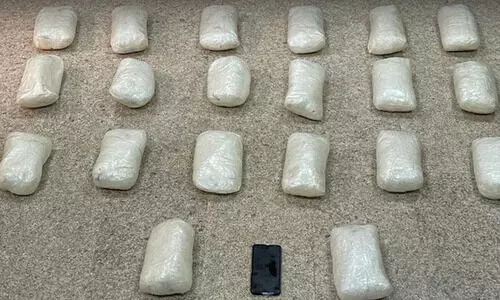 20 കി​ലോ മ​യ​ക്കു​മ​രു​ന്നു​മാ​യി ഏ​ഷ്യ​ൻ വം​ശ​ജ​ൻ പി​ടി​യി​ൽ