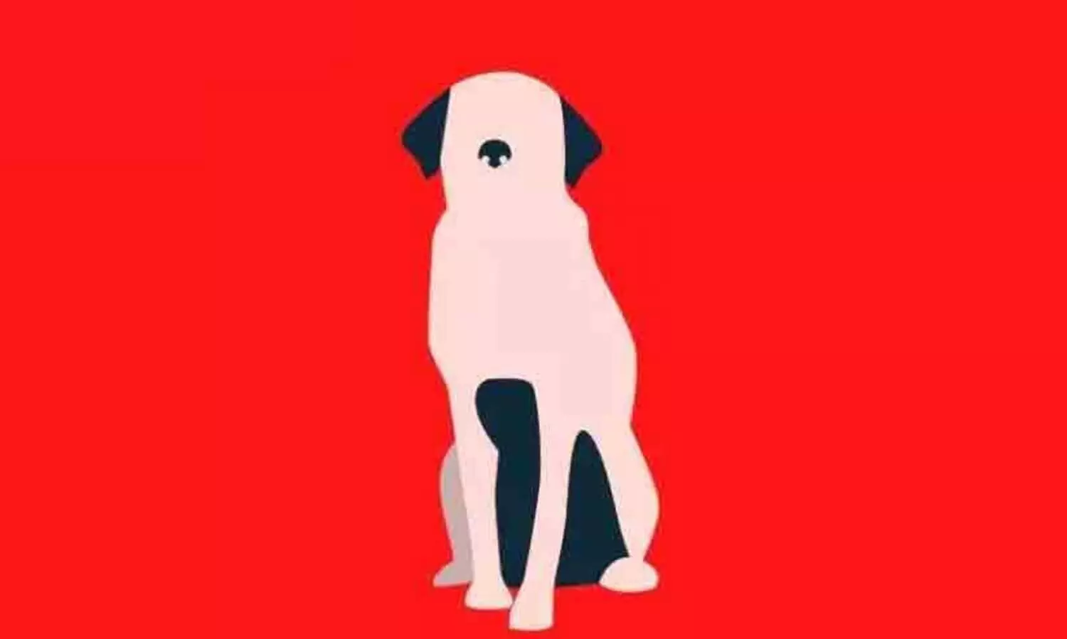 പേവിഷ പ്രതിരോധ കുത്തിവെപ്പ് നിര്‍ബന്ധം