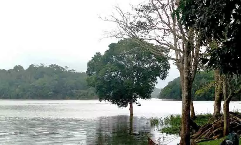 മുല്ലപ്പെരിയാർ: മരംമുറിക്ക് അനുമതി തേടി വീണ്ടും തമിഴ്നാട് മുല്ലപ്പെരിയാർ: മരംമുറിക്ക് അനുമതി തേടി വീണ്ടും തമിഴ്നാട്