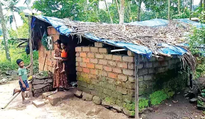 പാറശ്ശേരിയിൽ ആദിവാസി വീട് പ്രവൃത്തി പാതിവഴിയിൽ; കുടുംബങ്ങൾ ദുരിതത്തിൽ