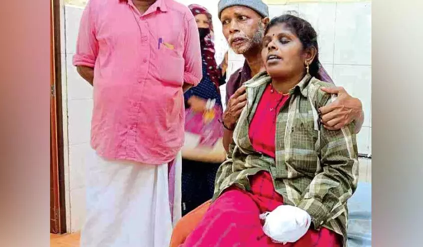 കാട് വെട്ടുന്നതിനിടെ സ്ഫോടനം; തൊഴിലുറപ്പ് തൊഴിലാളിക്ക് പരിക്കേറ്റു