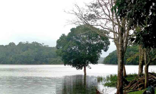 മുല്ലപ്പെരിയാർ: മരംമുറിക്ക്   അനുമതി തേടി വീണ്ടും തമിഴ്നാട്