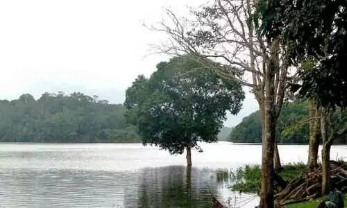 മുല്ലപ്പെരിയാർ: മരംമുറിക്ക്   അനുമതി തേടി വീണ്ടും തമിഴ്നാട്