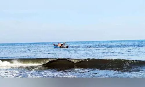 ചട്ടം ലംഘിച്ച് മീൻപിടിത്ത ബോട്ടുകൾ തീരക്കടൽ അരിച്ചുപെറുക്കുന്നു