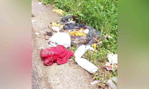 garbage dump garbage dump