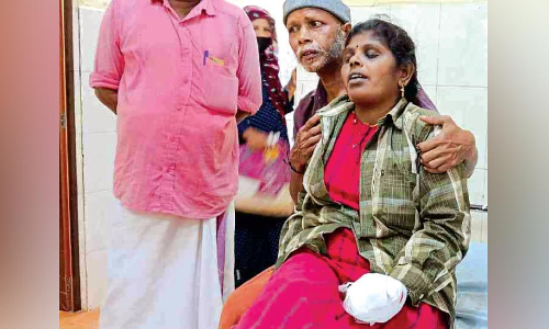 കാട് വെട്ടുന്നതിനിടെ സ്ഫോടനം; തൊഴിലുറപ്പ് തൊഴിലാളിക്ക് പരിക്കേറ്റു