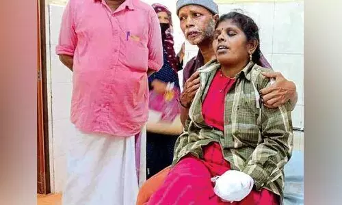 കാട് വെട്ടുന്നതിനിടെ സ്ഫോടനം; തൊഴിലുറപ്പ് തൊഴിലാളിക്ക് പരിക്കേറ്റു