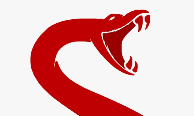 ഡ്രൈവിങ് പഠിക്കാൻ രക്തഅണലി ഡ്രൈവിങ് പഠിക്കാൻ രക്തഅണലി