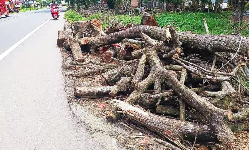 timber on roadside