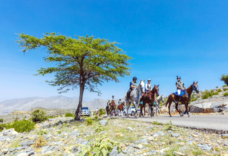 ജബൽ അഖ്ദർ ടൂറിസം ഫെസ്റ്റിന് തുടക്കം: വരൂ... കുതിരപ്പുറത്തിരുന്ന് മല കയറാം ജബൽ അഖ്ദർ ടൂറിസം ഫെസ്റ്റിന് തുടക്കം: വരൂ... കുതിരപ്പുറത്തിരുന്ന് മല കയറാം