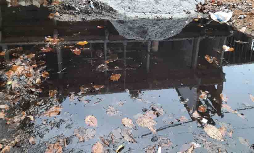 പൈപ്പ് പൊട്ടി കുടിവെള്ളം പാഴാകുന്നു; ഇടപെടാതെ ജല അതോറിറ്റി പൈപ്പ് പൊട്ടി കുടിവെള്ളം പാഴാകുന്നു; ഇടപെടാതെ ജല അതോറിറ്റി