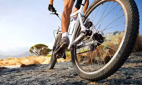 പാലത്തിനു മുകളിൽ സാഹസികാഭ്യാസം; സൈക്കിൾ റൈഡർമാർ അറസ്റ്റിൽ