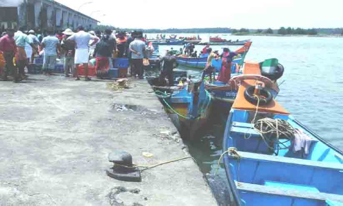 അ​ന​ധി​കൃ​ത മീ​ൻ​പി​ടി​ത്തം; തദ്ദേശ വള്ളങ്ങൾക്ക് ഭീഷണിയായി ഇതരസംസ്ഥാന ബോട്ടുകൾ