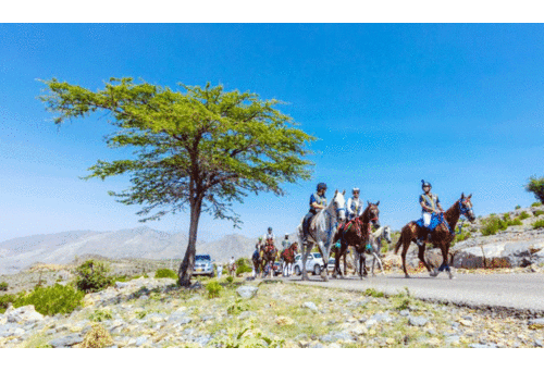 ജബൽ അഖ്ദർ ടൂറിസം ഫെസ്റ്റിന് തുടക്കം: വരൂ... കുതിരപ്പുറത്തിരുന്ന് മല കയറാം