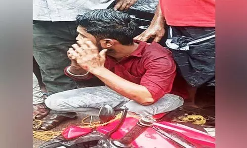 cannabis found cannabis found