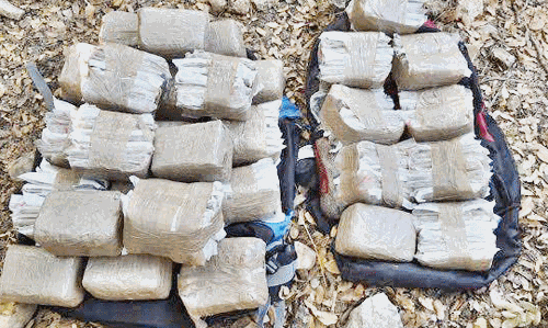 സാൻഡ്‌വിച്ച് മേക്കർ ഗ്രില്ലിനുള്ളിൽ ഒളിപ്പിച്ച 10 കിലോ ഹഷീഷ് പിടികൂടി