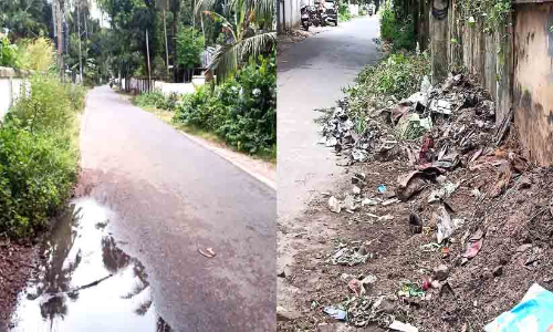 റോഡരികിലെ കാടുകൾ നീക്കാൻ നടപടിയില്ല റോഡരികിലെ കാടുകൾ നീക്കാൻ നടപടിയില്ല