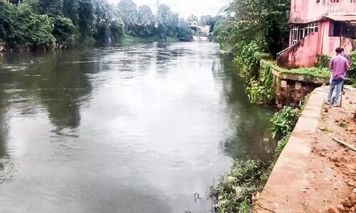 thodupuzha river