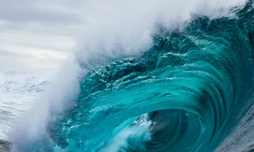 ക​ട​ലും ക​ര​യും ജീ​വി​ത​വും തി​രി​ച്ചു​ന​ല്‍കു​ക