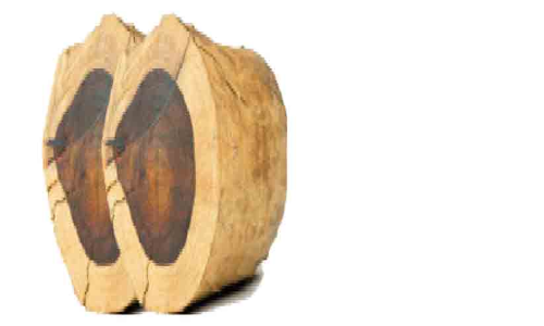 വയനാട്ടിൽ വീണ്ടും മരംമുറി വിവാദം വയനാട്ടിൽ വീണ്ടും മരംമുറി വിവാദം