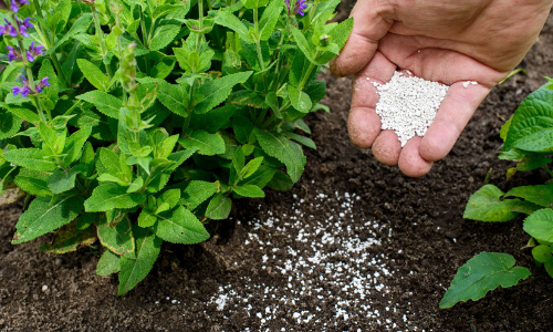 വളം വിൽപന ഇനി ഭാരത് ബ്രാൻഡിൽ