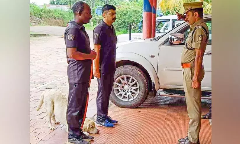 സർവിസിൽനിന്ന് പടിയിറങ്ങുന്നത് പൊൻതൂവലുമായി; റൂണിക്ക് ഇനി വിശ്രമജീവിതം