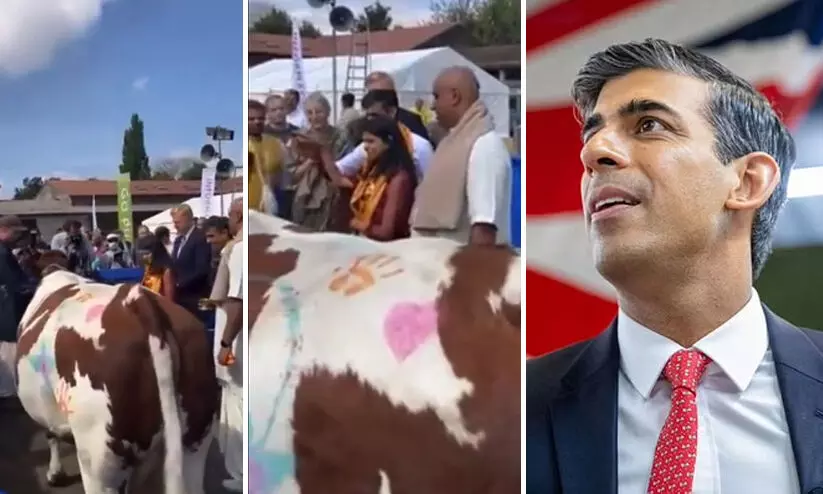 ഗോ പൂജയുമായി യു.കെ പ്രധാനമന്ത്രി സ്ഥാനാർഥി ഋഷി സുനക് ഗോ പൂജയുമായി യു.കെ പ്രധാനമന്ത്രി സ്ഥാനാർഥി ഋഷി സുനക്