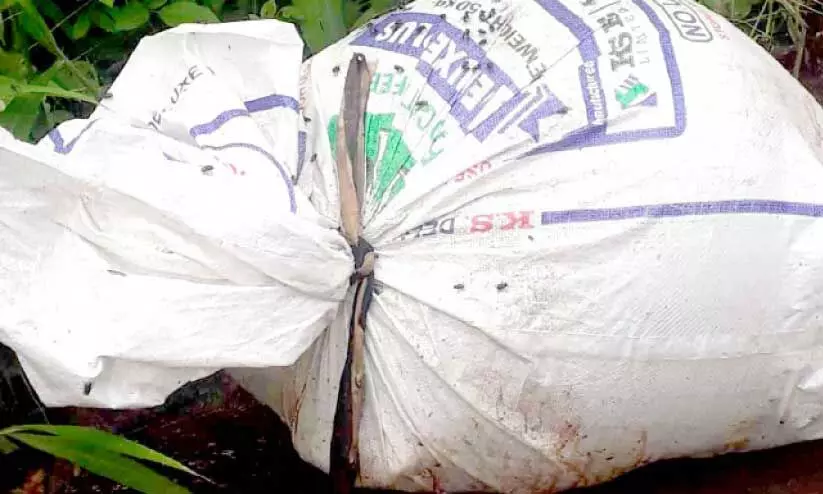 ചത്ത പോത്തുകുട്ടിയെ ചാക്കിലാക്കി റോഡിൽ തള്ളി ചത്ത പോത്തുകുട്ടിയെ ചാക്കിലാക്കി റോഡിൽ തള്ളി