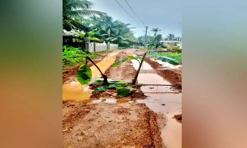 കോട്ടപ്പുറം മഖാം റോഡ് ചളിക്കുളം; വാഴനട്ട് നാട്ടുകാർ കോട്ടപ്പുറം മഖാം റോഡ് ചളിക്കുളം; വാഴനട്ട് നാട്ടുകാർ
