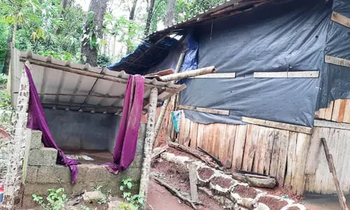 വെള്ളവും വെളിച്ചവുമില്ല; ദുരിതക്കുഴിയിൽ കർപ്പൂരക്കാട് കോളനിക്കാർ