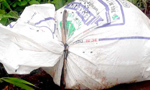 ചത്ത പോത്തുകുട്ടിയെ ചാക്കിലാക്കി റോഡിൽ തള്ളി