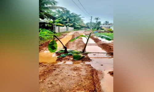 കോട്ടപ്പുറം മഖാം റോഡ് ചളിക്കുളം; വാഴനട്ട് നാട്ടുകാർ
