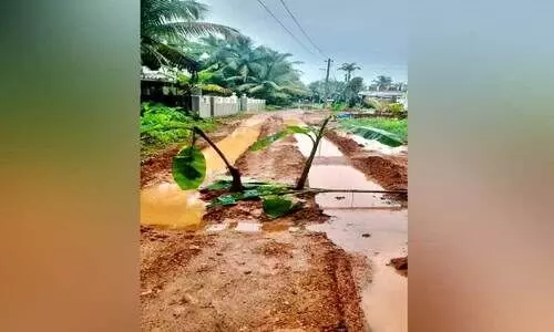 കോട്ടപ്പുറം മഖാം റോഡ് ചളിക്കുളം; വാഴനട്ട് നാട്ടുകാർ കോട്ടപ്പുറം മഖാം റോഡ് ചളിക്കുളം; വാഴനട്ട് നാട്ടുകാർ