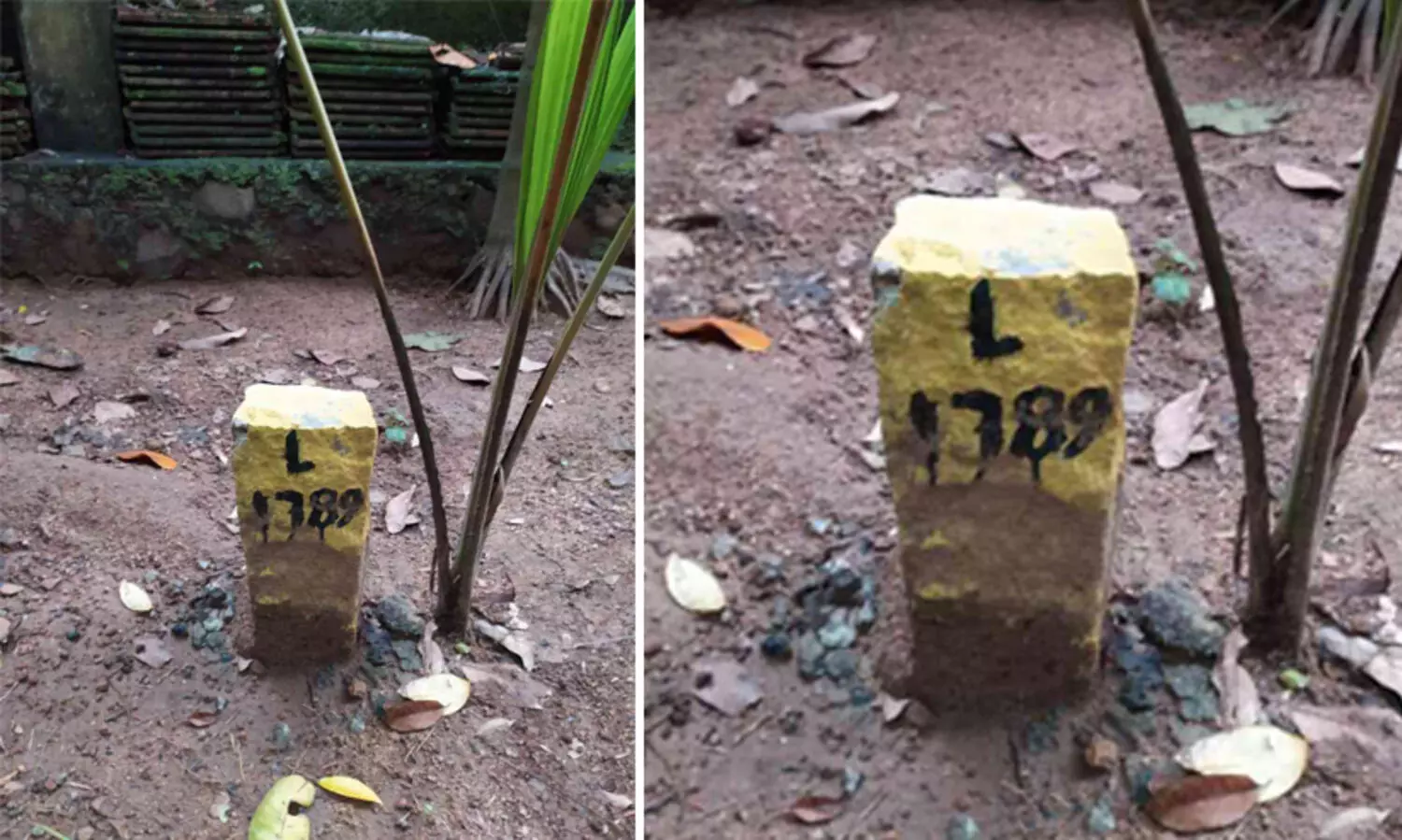 സിൽവർ ലൈൻ: മഞ്ഞക്കുറ്റിയെ ന്യായീകരിച്ച് കെ-റെയിൽ