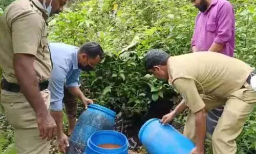 125 ലിറ്റർ വാഷുമായി യുവാവ് പിടിയിൽ