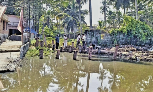 കരിയൽതോട് കൈയേറ്റം; സ്വകാര്യവ്യക്തി നൽകിയ ഹരജി ചെലവ് സഹിതം തള്ളി