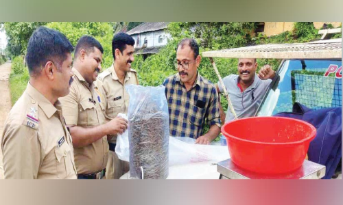 ഉപേക്ഷിക്കപ്പെട്ട നിലയിൽ കണ്ട ബാഗിൽ 3.850 കിലോ കഞ്ചാവ്