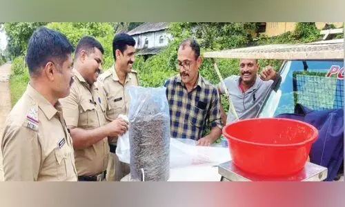 ഉപേക്ഷിക്കപ്പെട്ട നിലയിൽ കണ്ട ബാഗിൽ 3.850 കിലോ കഞ്ചാവ്